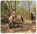 Bonanza Tour a Caballo por la Selva