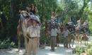 Combo: Reef Adventure + Camellos en Maroma Adventures