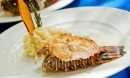 Deluxe Snorkel and Lobster en Maroma Adventures