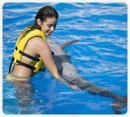 Programa Interactivo con Delfines (Dolphinaris Cancún)