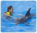 Programa de Nado con Delfines (Dolphinaris Cancún) + Entrada al Parque Wet'n Wild