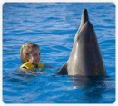 Nado y Paseo con Delfines (Dolphinaris Cancun)