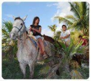 Paseo a Caballo