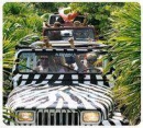 Pantera Jeep Tour