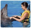 Programa Interactivo con Delfines (Dolphinaris Cancún) + Entrada al Parque Wet'n Wild