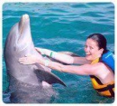 Dolphin Swim Adventure (Dolphin Discovery Puerto Aventuras)