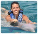 Dolphin Swim Adventure Cozumel