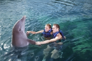 Couples Dream Swim / Puerto Morelos Couples Dream Swim / Puerto Morelos