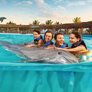 Catamaran & Dolphin Royal Swim Catamaran & Dolphin Royal Swim