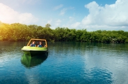 Jungle Tour Jungle Tour