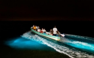 Bioluminiscencia En Puerto Escondido desde Huatulco Bioluminiscencia En Puerto Escondido desde Huatulco