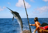 Paseo y pesca en yate Paseo y pesca en yate