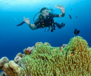 Buceo Albatros Buceo Albatros
