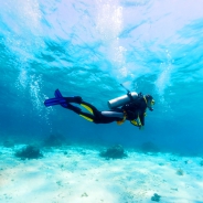 Discover Scuba Diving with Maroma Beach (1 Day)