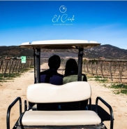 Golf Cart Rental (For a ride in the vineyard)
