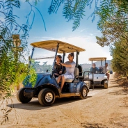 Tour and Tasting in a Golf Cart