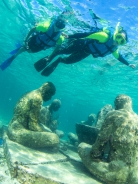 Snorkel *MUSA*