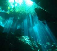 Buceo en Cenote (Dos Tanques) Buceo en Cenote (Dos Tanques)