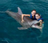 Couples Dream Swim / Riviera Maya Couples Dream Swim / Riviera Maya