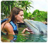 Delphinus Primax / Xel-Há Delphinus Primax / Xel-Há