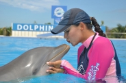 Catamaran & Dolphin Encounter Catamaran & Dolphin Encounter