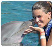 Dolphin Encounter Cozumel Dolphin Encounter Cozumel