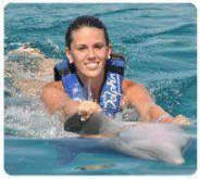 Dolphin Swim Adventure Maroma Dolphin Swim Adventure Maroma
