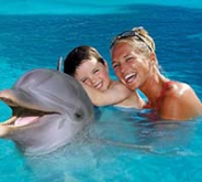 Dolphin Encounter / Dolphin Akumal Dolphin Encounter / Dolphin Akumal