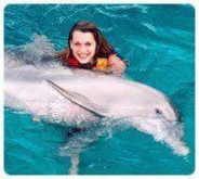 Dolphin Encounter (Dolphin Discovery Puerto Aventuras)
Dolphin Encounter (Dolphin Discovery Puerto Aventuras)