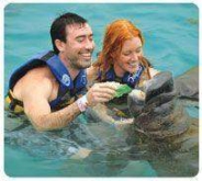 Encuentro con ManatÃes (Cozumel) Encuentro con ManatÃes (Cozumel)