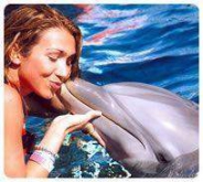 Royal Garraf贸n + Dolphin Encounter Royal Garraf贸n + Dolphin Encounter