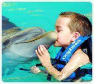 Dolphin Ride / Xel-Ha Dolphin Ride / Xel-Ha
