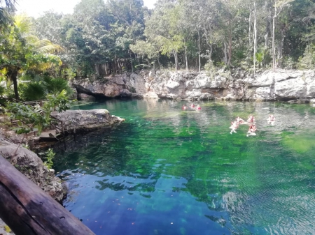 Tulum & Cenote Express