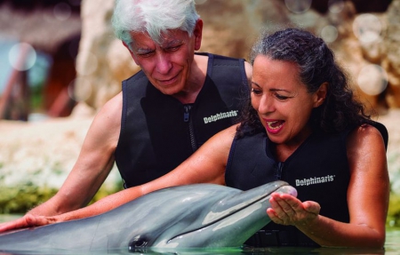 Dolphin Interaction Adventure All Inclusive Cozumel