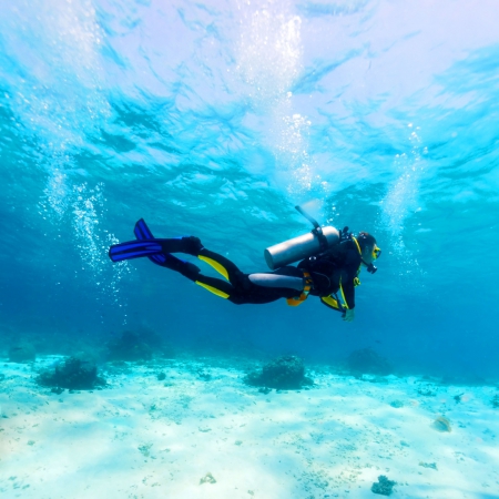 Scuba Referral e-learning with Maroma Beach (2 Days)