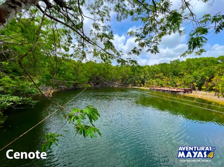 Cenote Experience