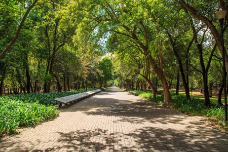 Chapultepec Park by bike