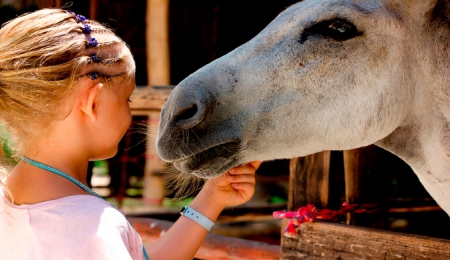 Horseback Riding Rancho Bonanza