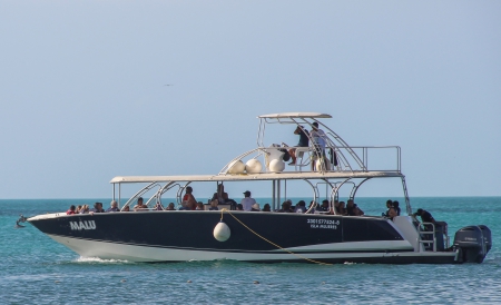 Isla Contoy & Isla Mujeres