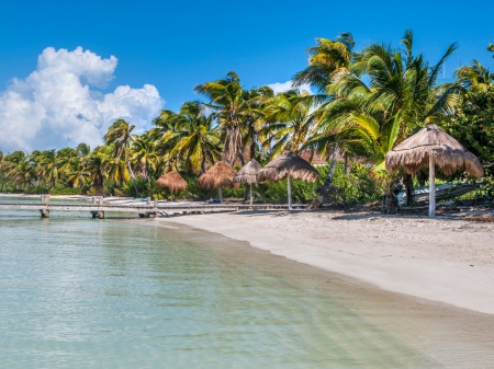 Isla Contoy & Isla Mujeres