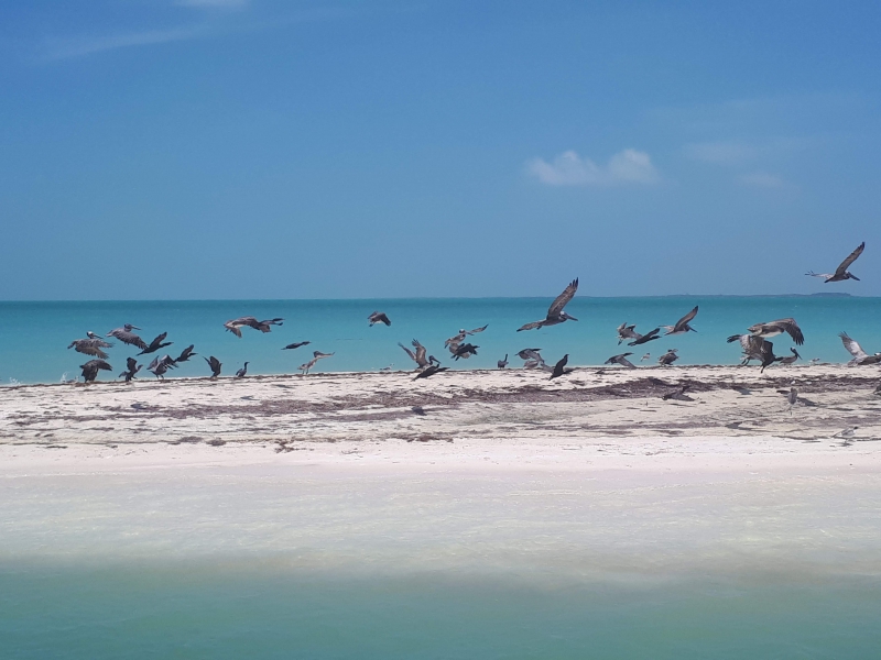 Isla Blanca Isla Blanca