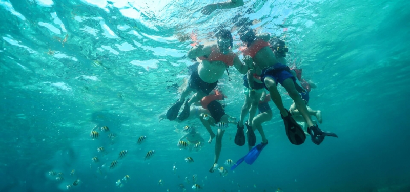 Caribbean Star Snorkel Caribbean Star Snorkel