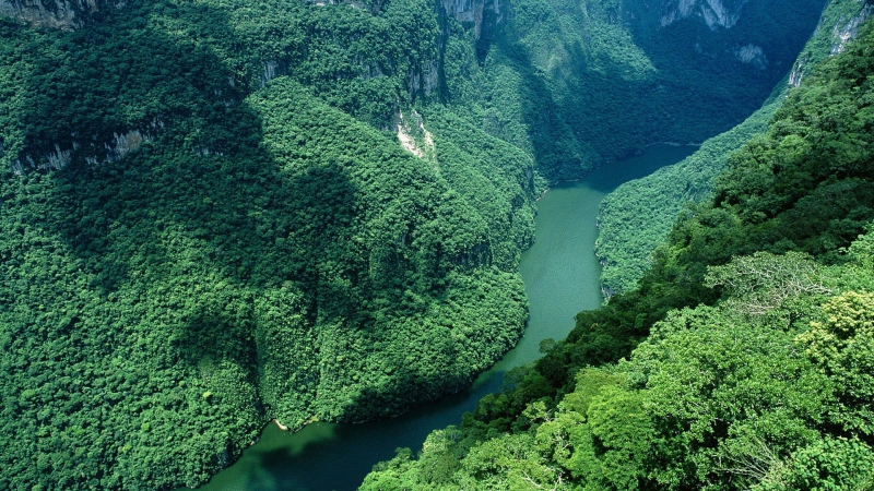 Chiapas Inolvidable 5 días 4 noches Chiapas Inolvidable 5 días 4 noches
