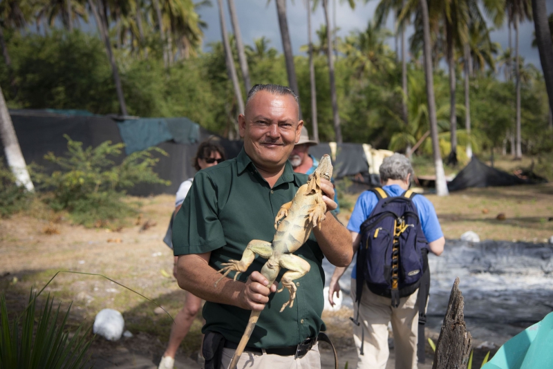 Turtle and mangrove eco tour Turtle and mangrove eco tour