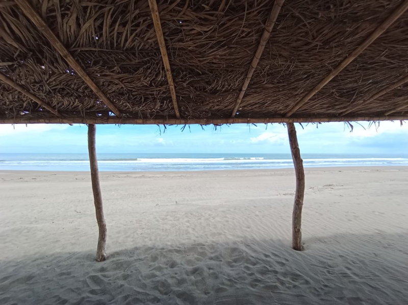 Vive el Sandboarding en Chachalacas Vive el Sandboarding en Chachalacas