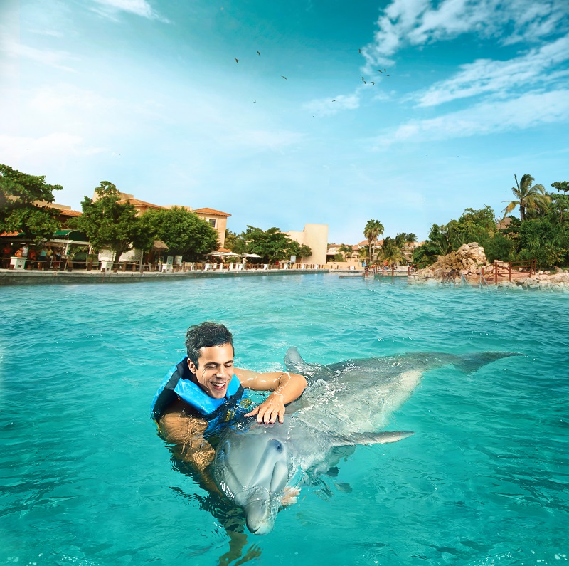 Dolphin Encounter (Dolphin Discovery Isla Mujeres)
Dolphin Encounter (Dolphin Discovery Isla Mujeres)