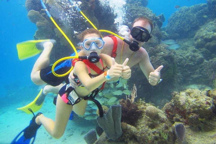 Sea Trek Sea Trek