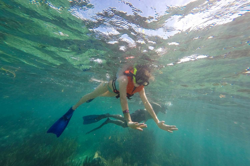 Puerto Morelos Snorkel Puerto Morelos Snorkel