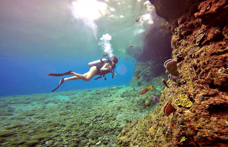 Diving 2 Tanks In Cozumel (Certified Divers) Diving 2 Tanks In Cozumel (Certified Divers)