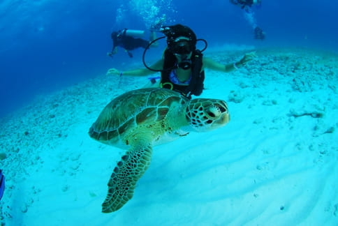 Padi Open Water Course (3 days) Padi Open Water Course (3 days)